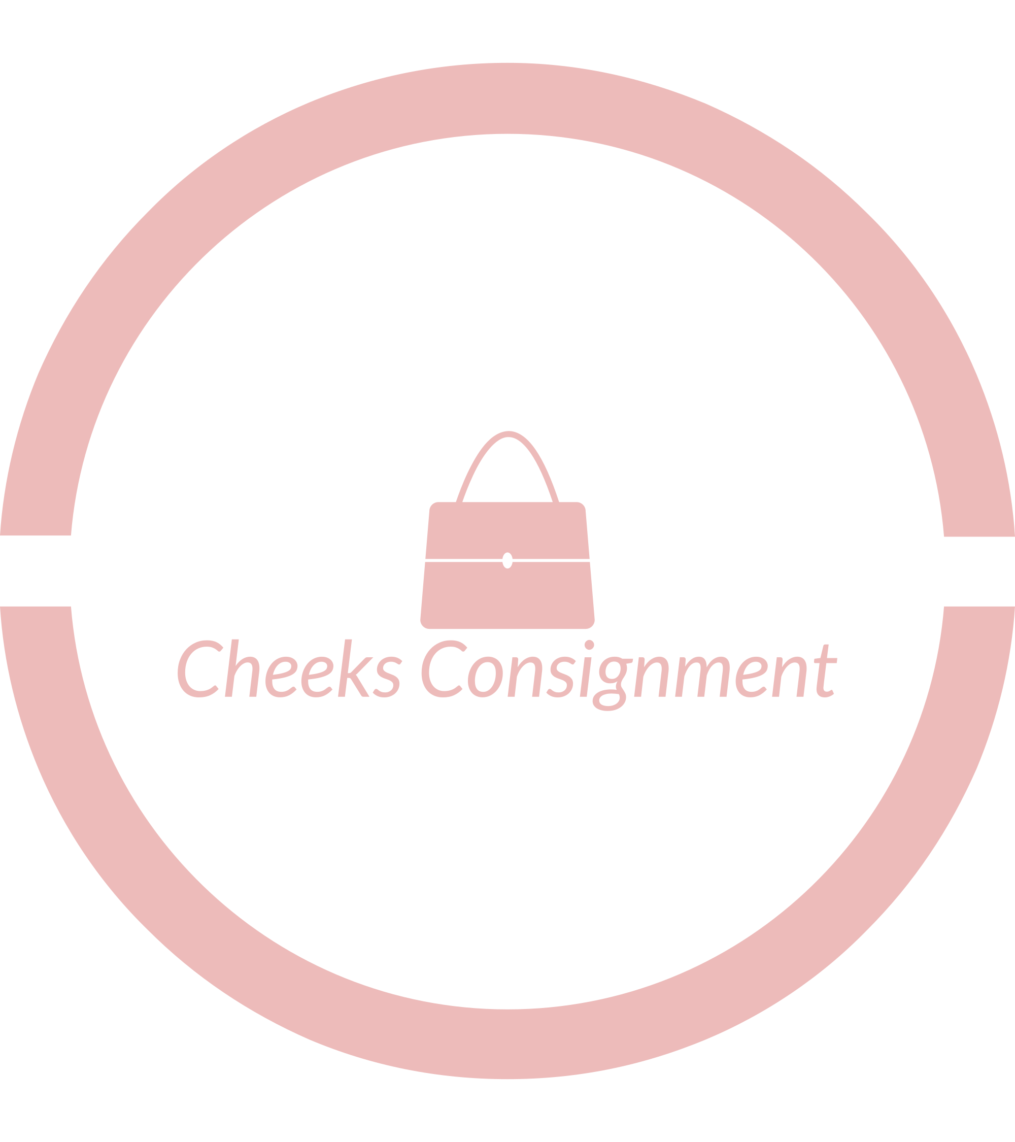 Second Hand Designer Bags Cheeks Consignment
